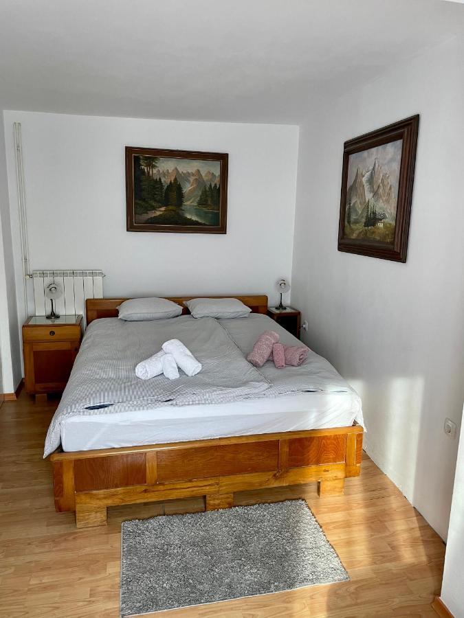 Apartma Pri Soci Διαμέρισμα Bovec Εξωτερικό φωτογραφία