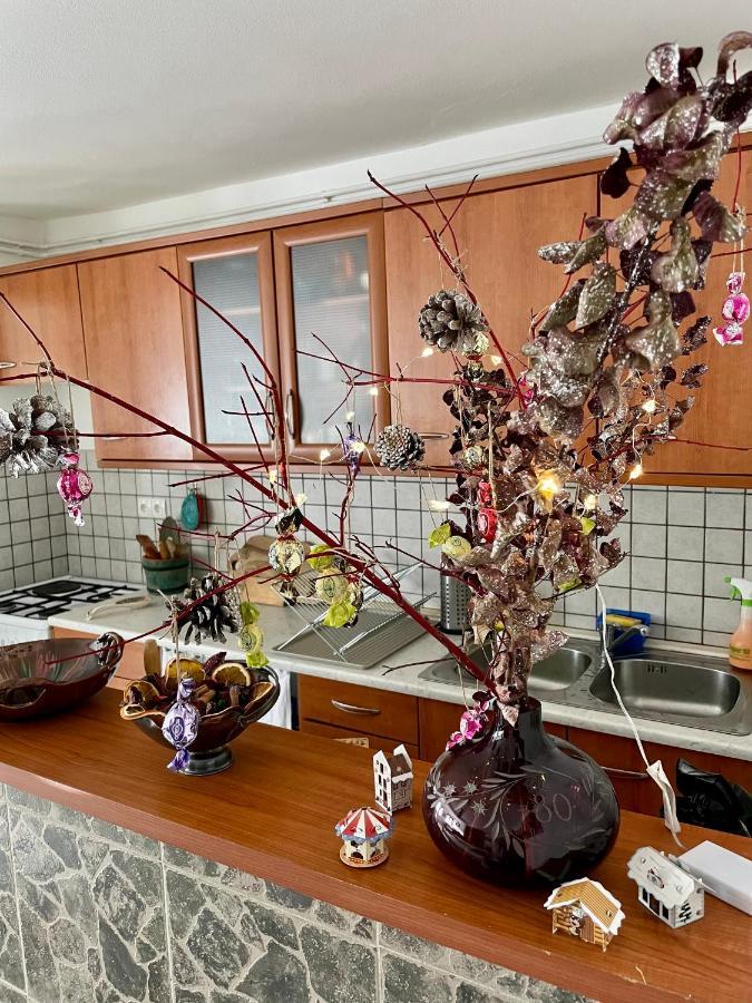Apartma Pri Soci Διαμέρισμα Bovec Εξωτερικό φωτογραφία