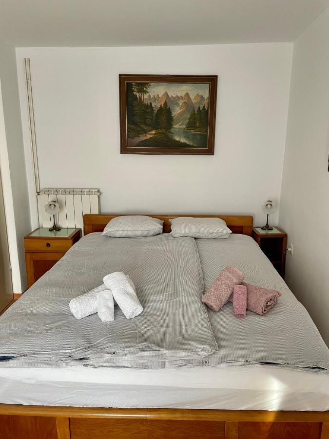 Apartma Pri Soci Διαμέρισμα Bovec Εξωτερικό φωτογραφία